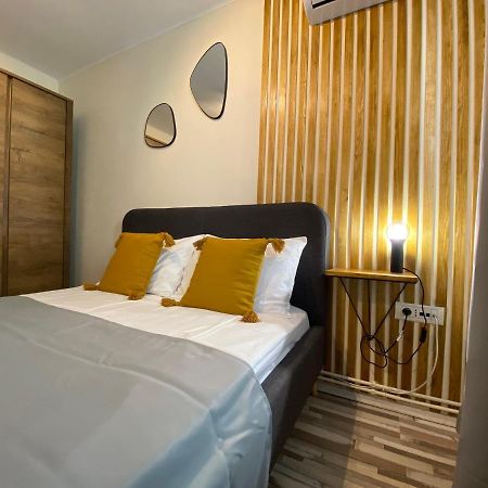 Urseni Studio Apartment 蒂米什瓦拉 外观 照片