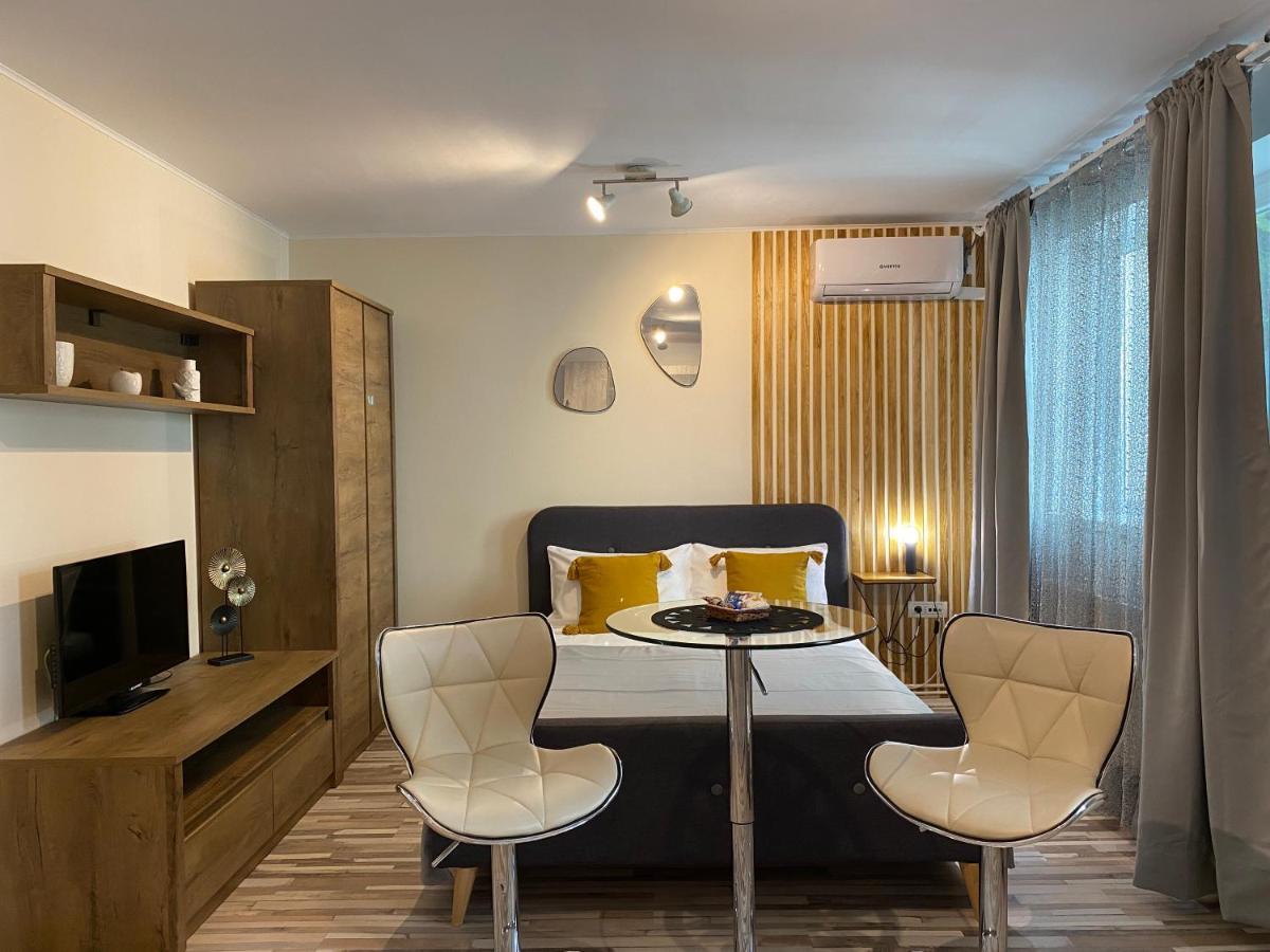 Urseni Studio Apartment 蒂米什瓦拉 外观 照片