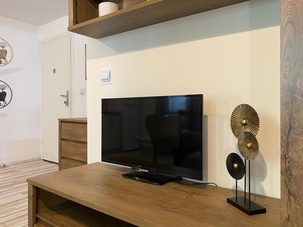 Urseni Studio Apartment 蒂米什瓦拉 外观 照片