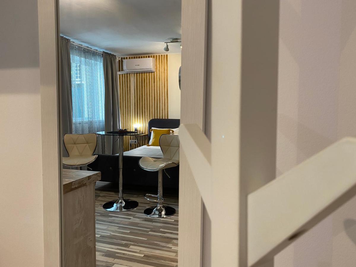 Urseni Studio Apartment 蒂米什瓦拉 外观 照片