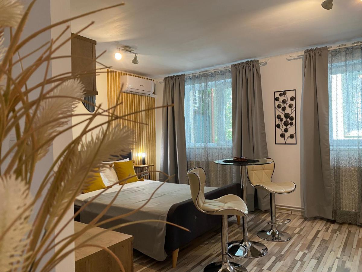 Urseni Studio Apartment 蒂米什瓦拉 外观 照片
