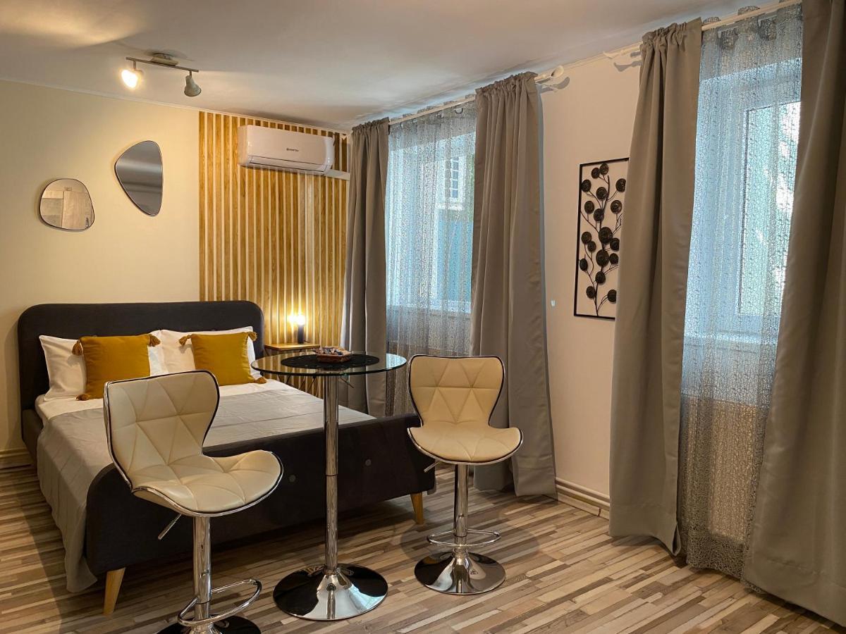 Urseni Studio Apartment 蒂米什瓦拉 外观 照片