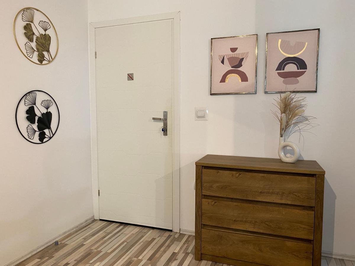 Urseni Studio Apartment 蒂米什瓦拉 外观 照片