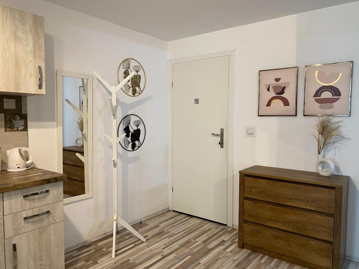 Urseni Studio Apartment 蒂米什瓦拉 外观 照片