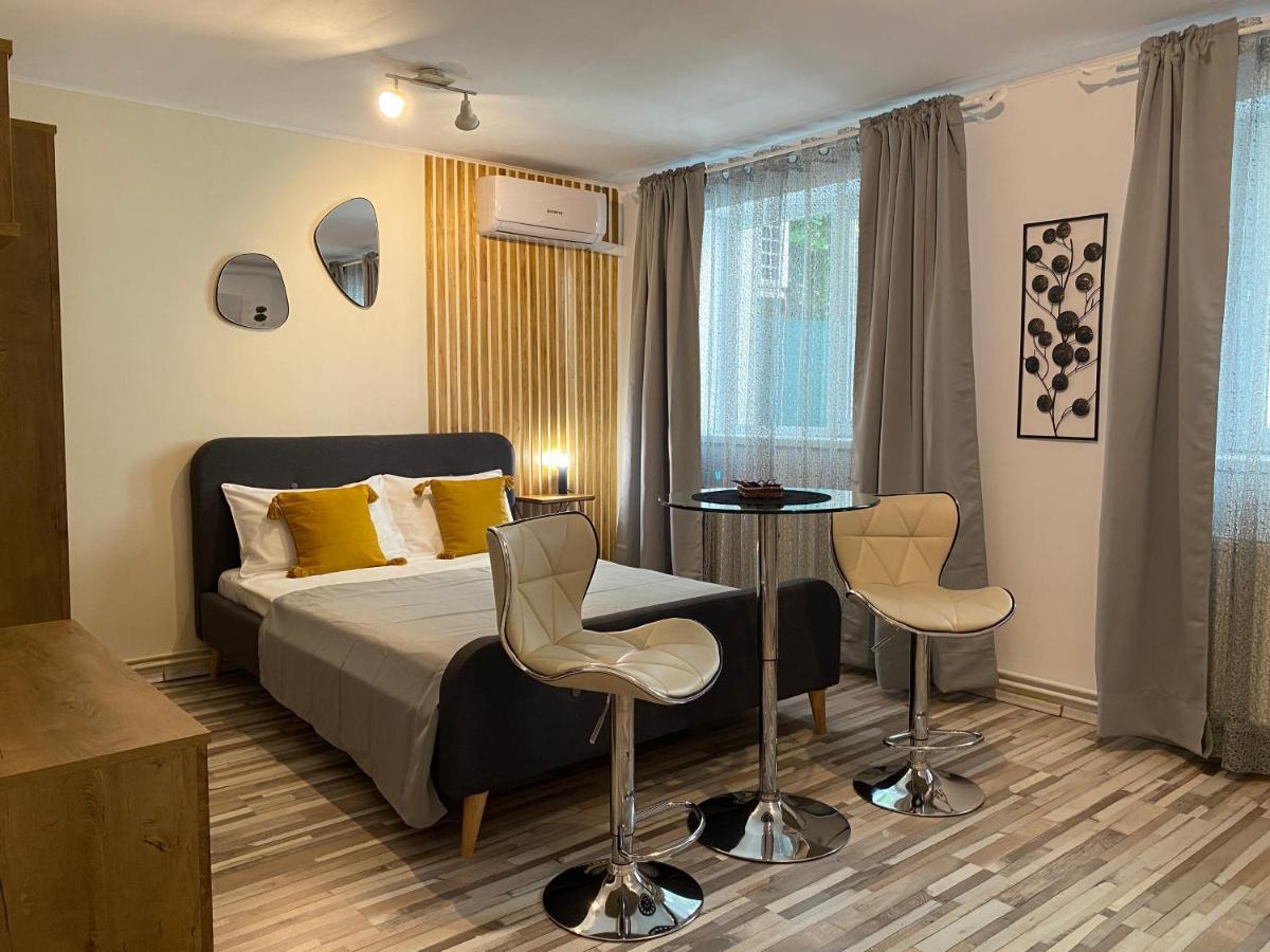 Urseni Studio Apartment 蒂米什瓦拉 外观 照片