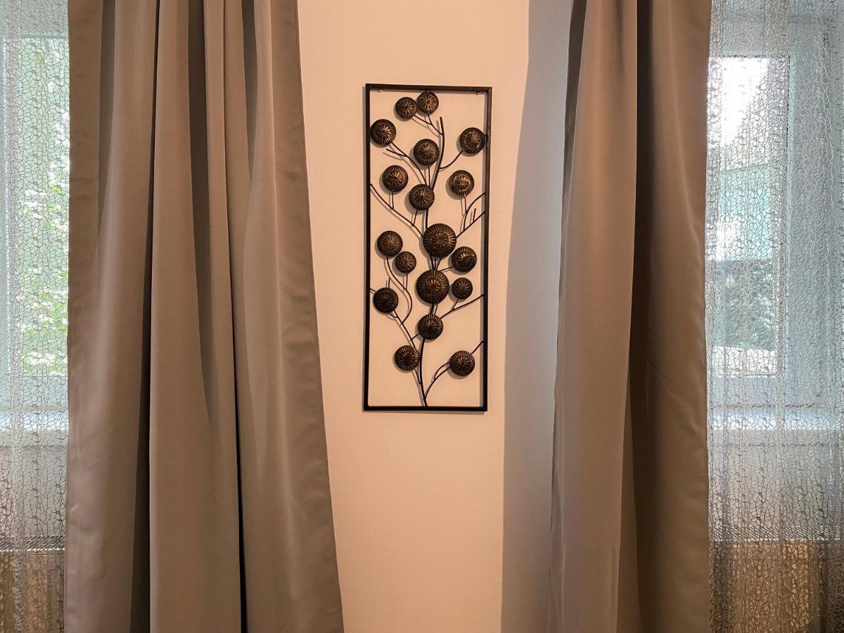 Urseni Studio Apartment 蒂米什瓦拉 外观 照片
