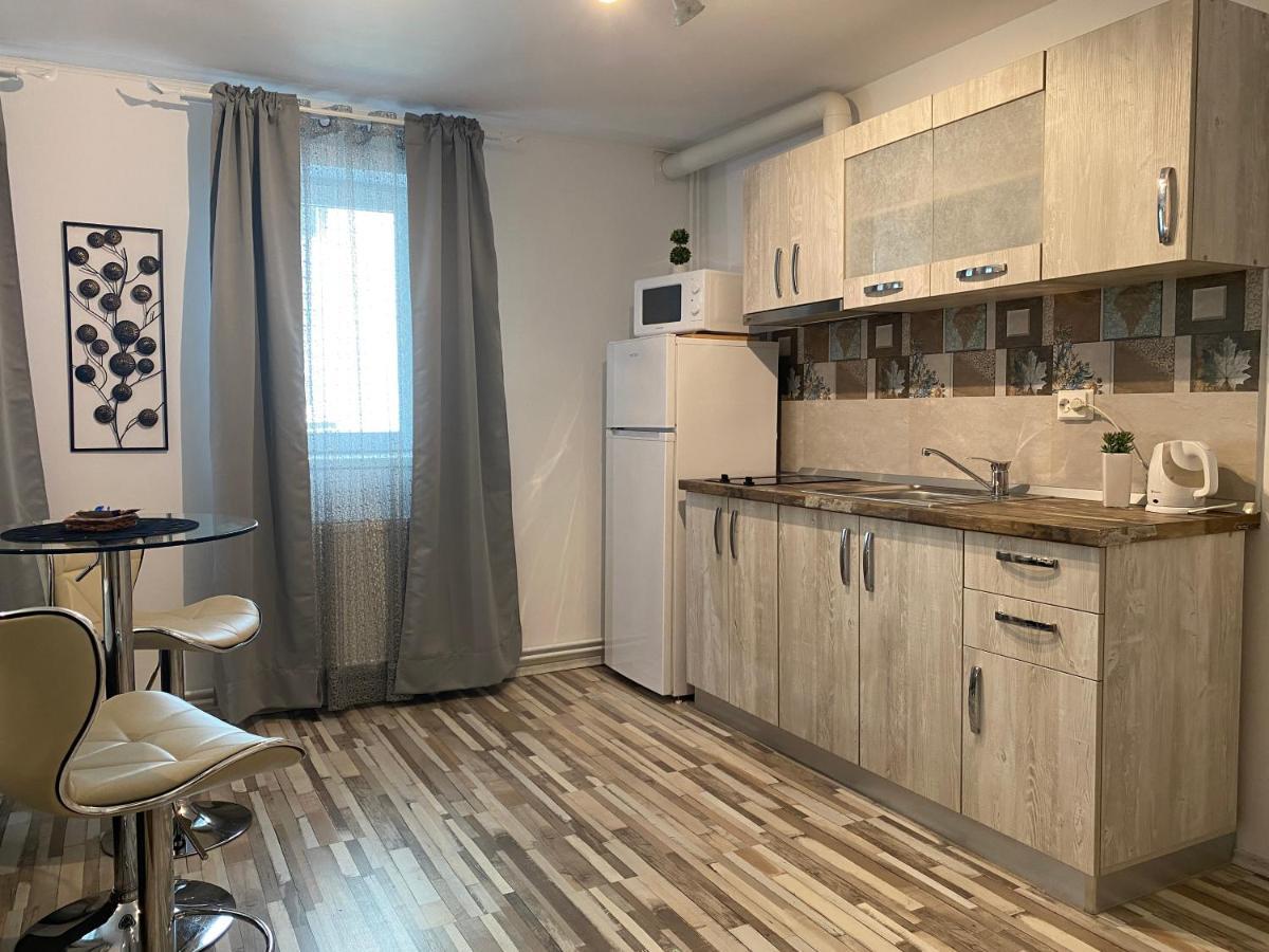 Urseni Studio Apartment 蒂米什瓦拉 外观 照片