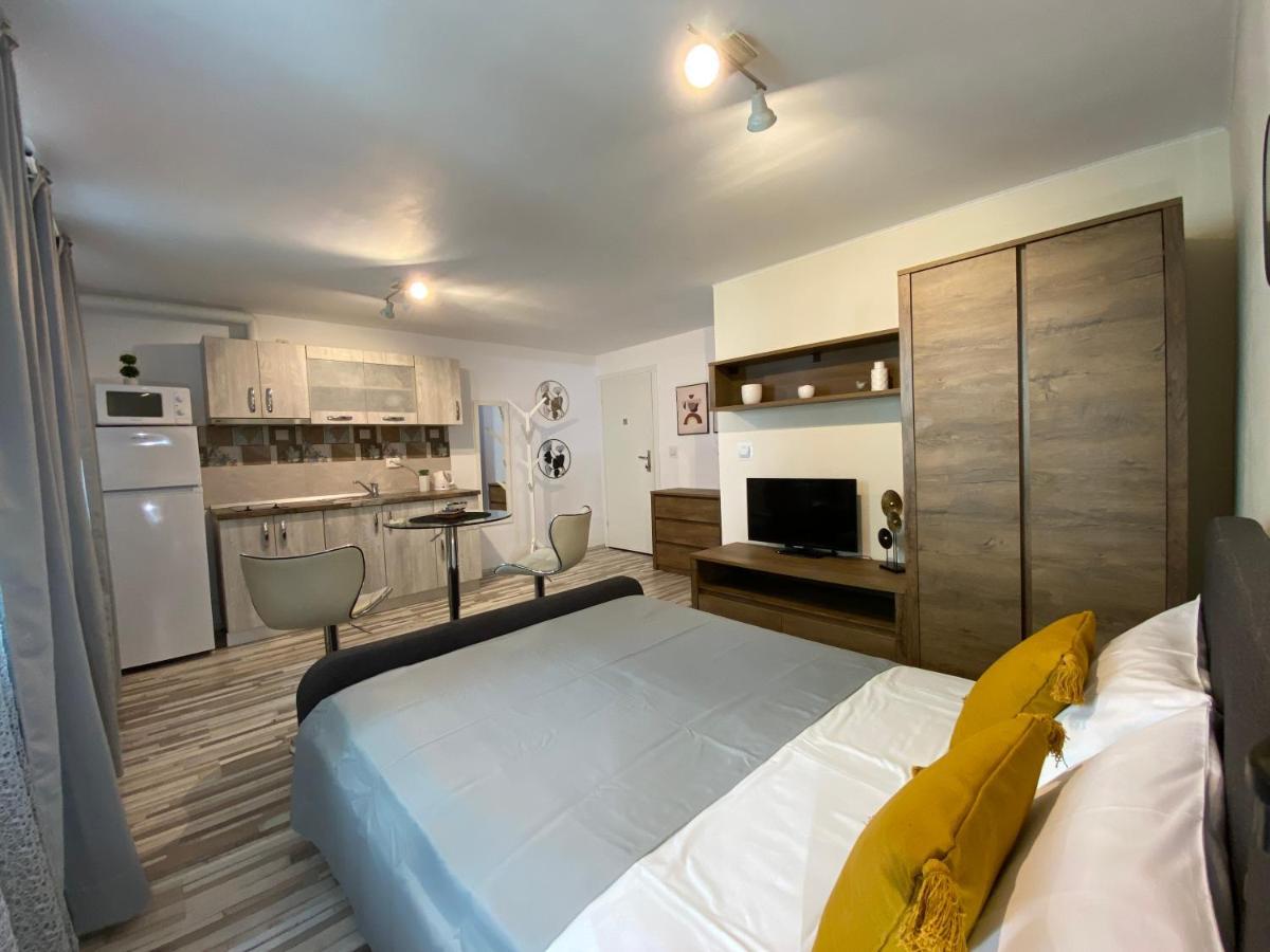 Urseni Studio Apartment 蒂米什瓦拉 外观 照片