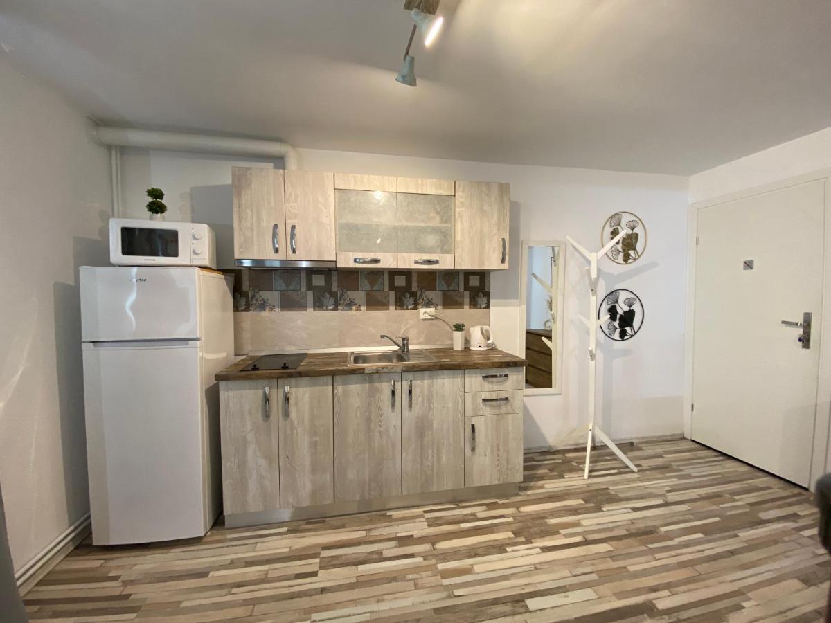 Urseni Studio Apartment 蒂米什瓦拉 外观 照片