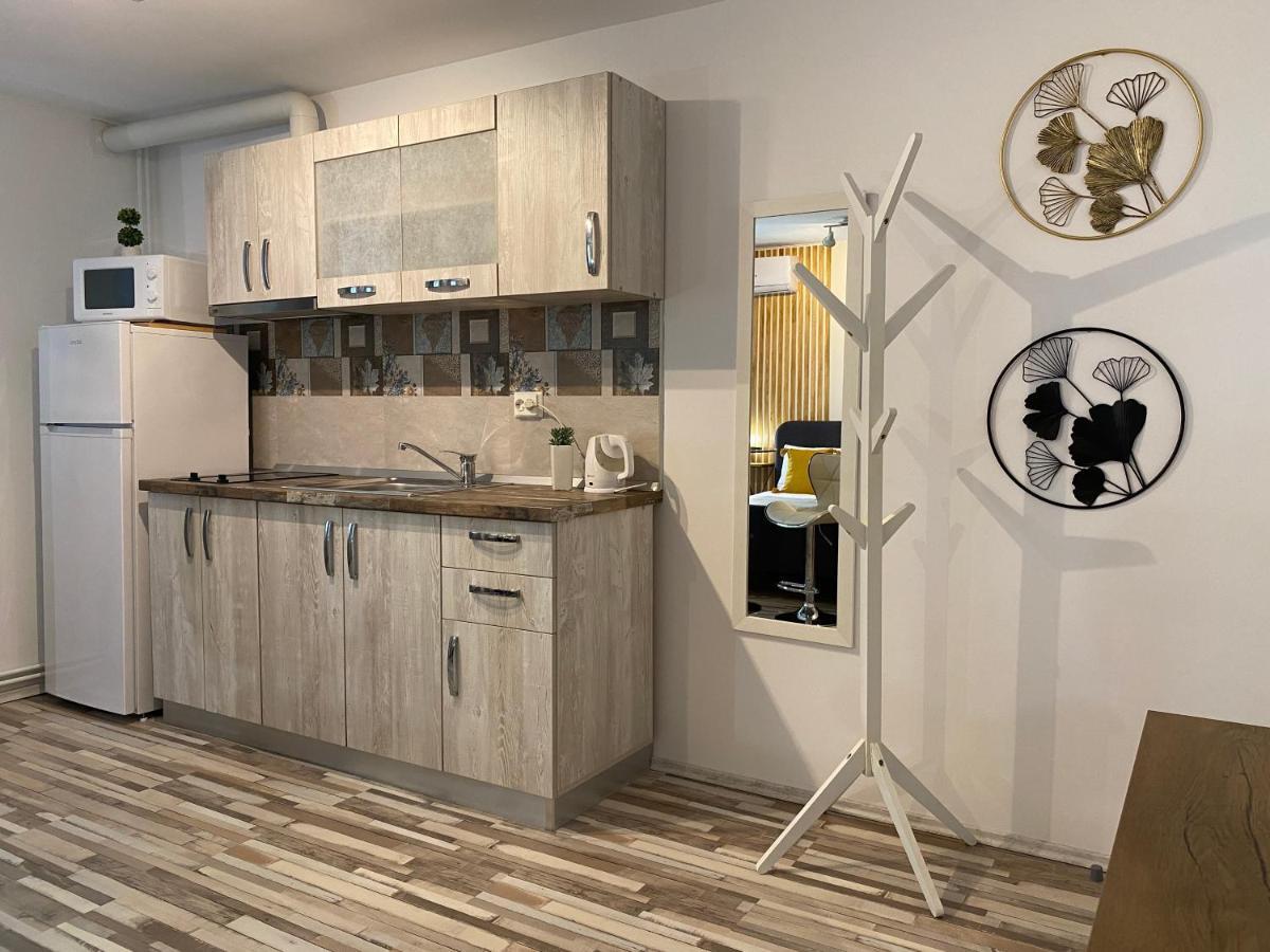 Urseni Studio Apartment 蒂米什瓦拉 外观 照片
