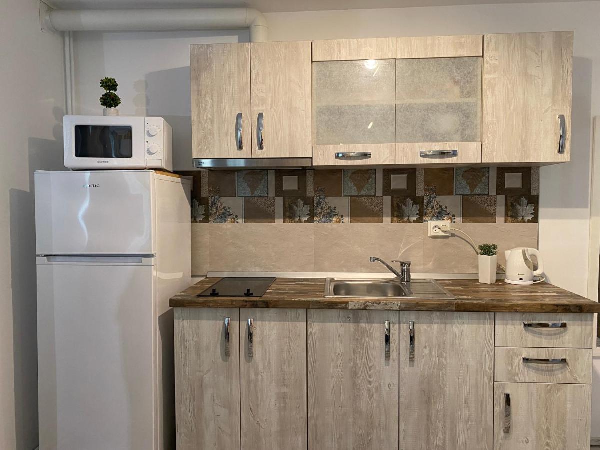 Urseni Studio Apartment 蒂米什瓦拉 外观 照片